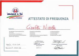 Attestato di Frequenza - Corso Formazione D.S.E.